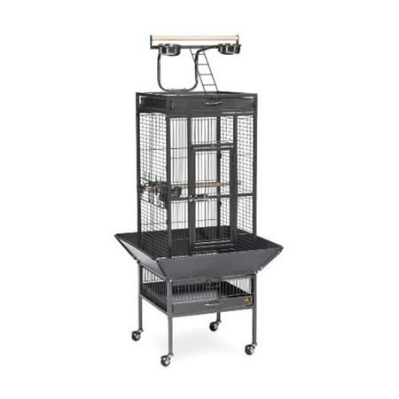 Prevue Pet Products Wrought Iron Cockatiel Bird Cage with Play Top in Black