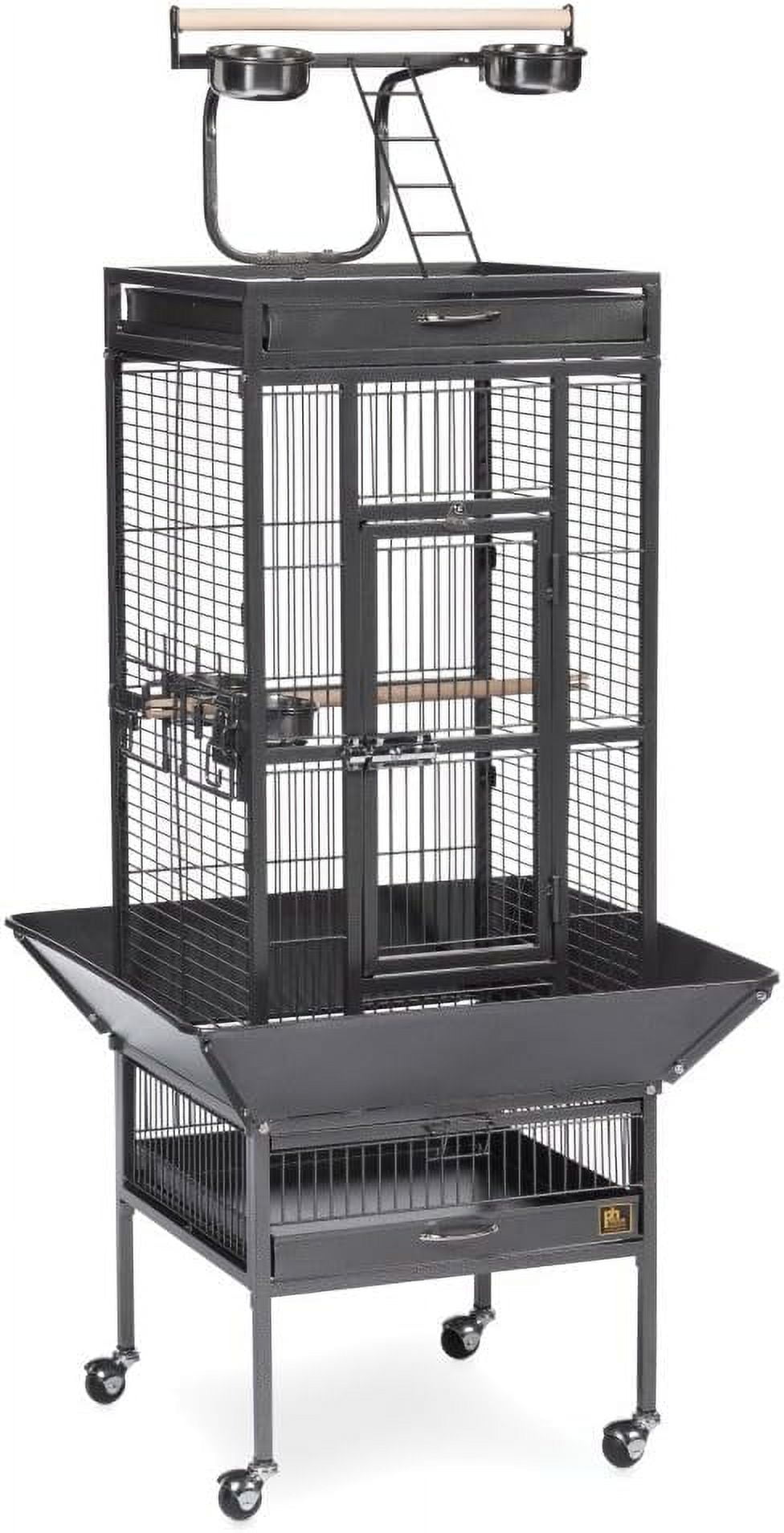 Black Wrought Iron Bird Cage with Play Top and Stand