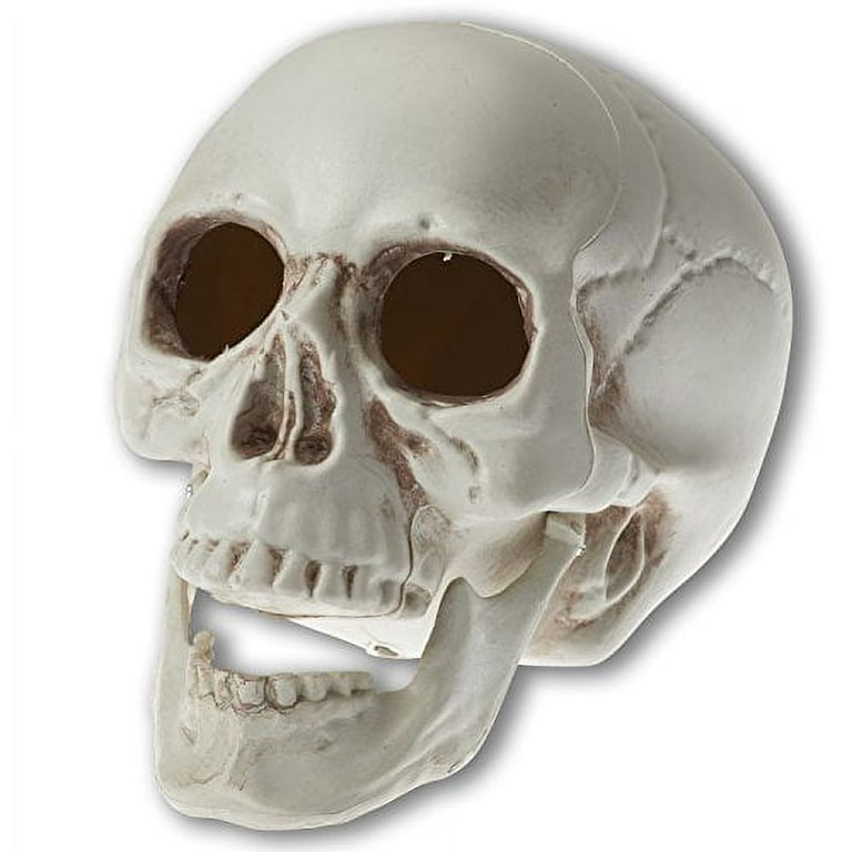 Halloween skull best sale