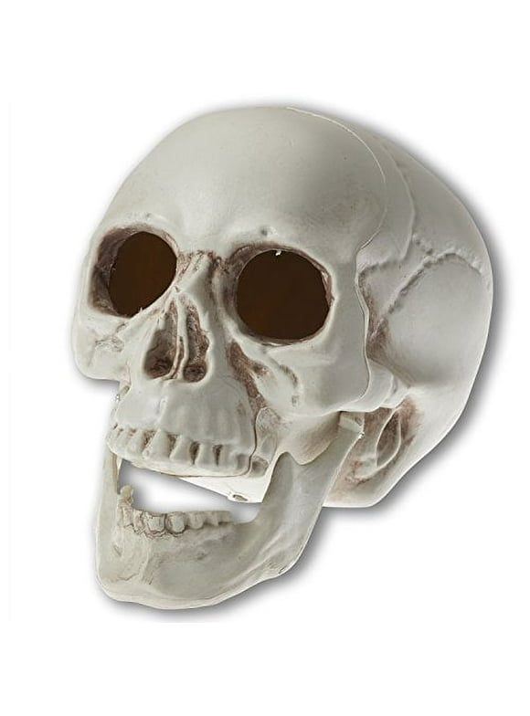 Prextex 6.5" Realistic Looking Skeleton Skull Halloween Decoration
