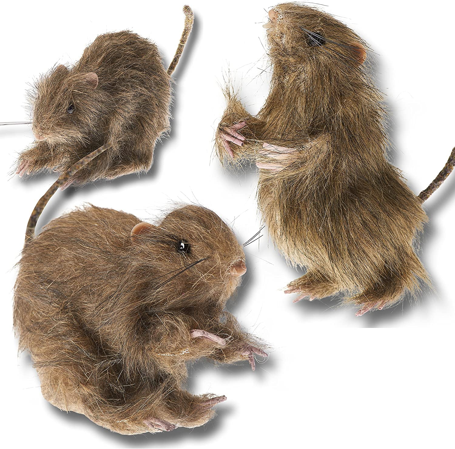 Prextex Realistic Mini Furry Rats Halloween Decorations