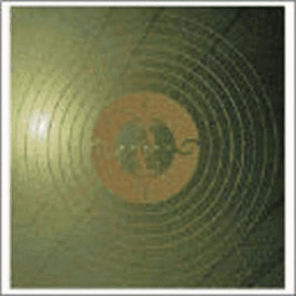 Prey On Life Burst (CD)