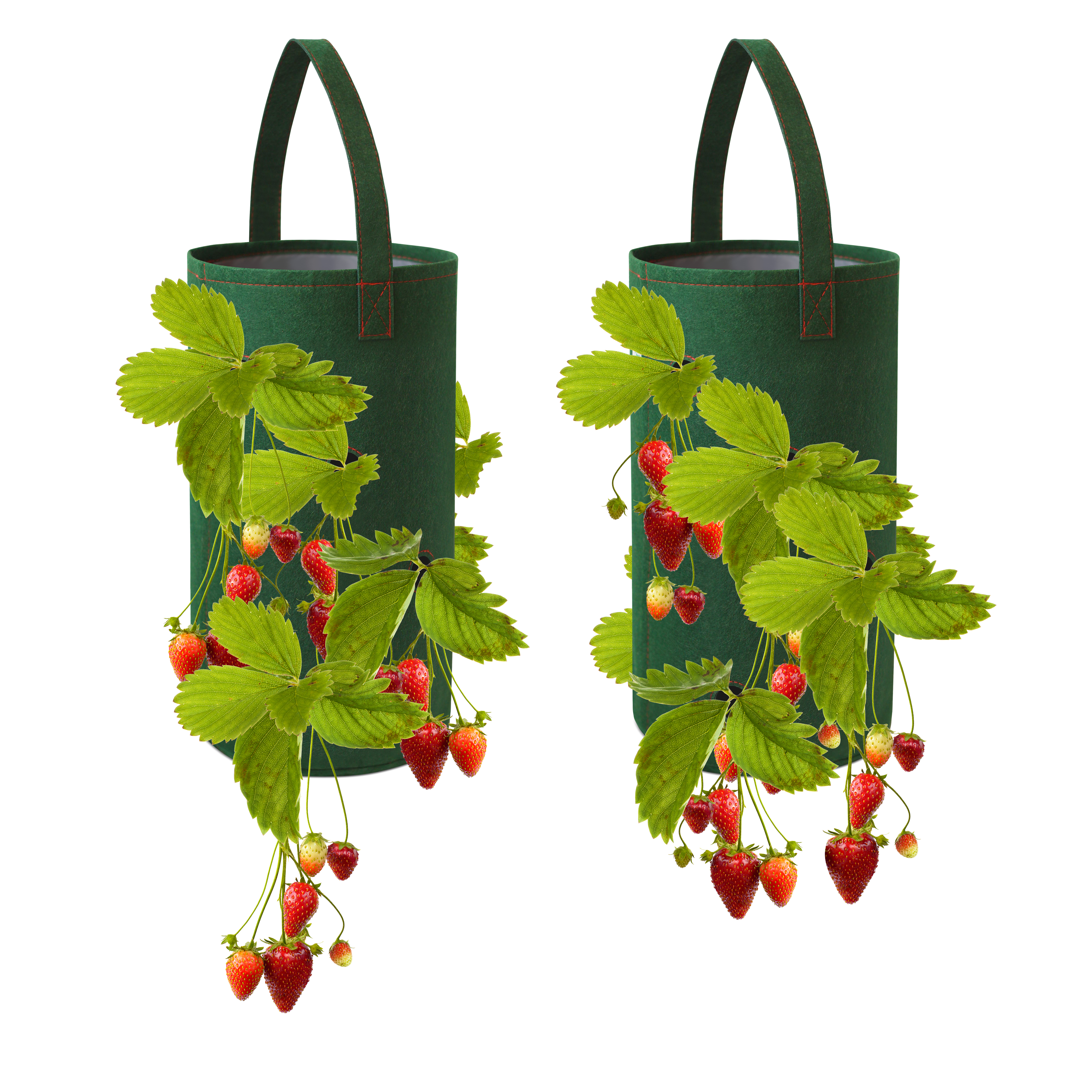 Pri Gardens Hanging Strawberry Planter for Strawberry Bare Root Plants (roots not included) Felt Material 2 pack - image 1 of 6