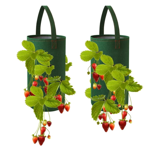 Pri Gardens Hanging Strawberry Planter for Strawberry Bare Root Plants (roots not included) Felt Material 2 pack