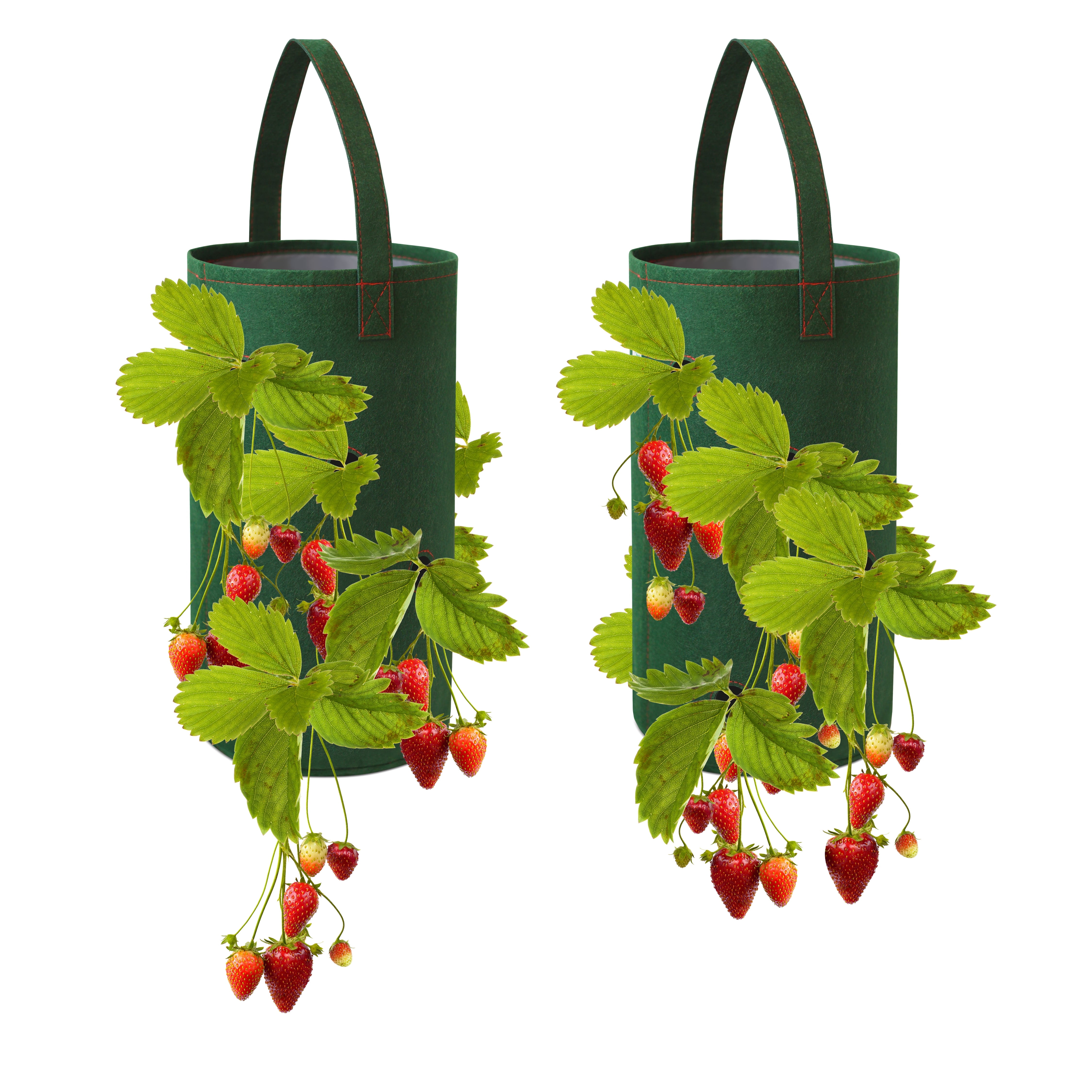 Pri Gardens 2-Pack Hanging Strawberry Planter Basket, Felt Material for  Bare Root Plants - Walmart.com