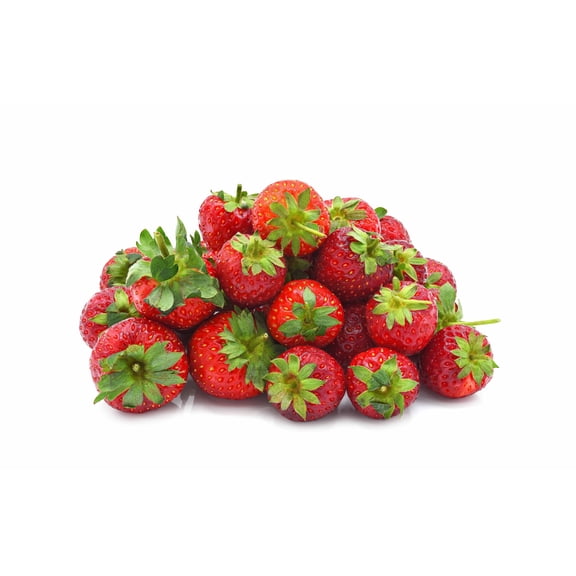 Seascape Everbearing Strawberry Bare Root Plants (25 Count)