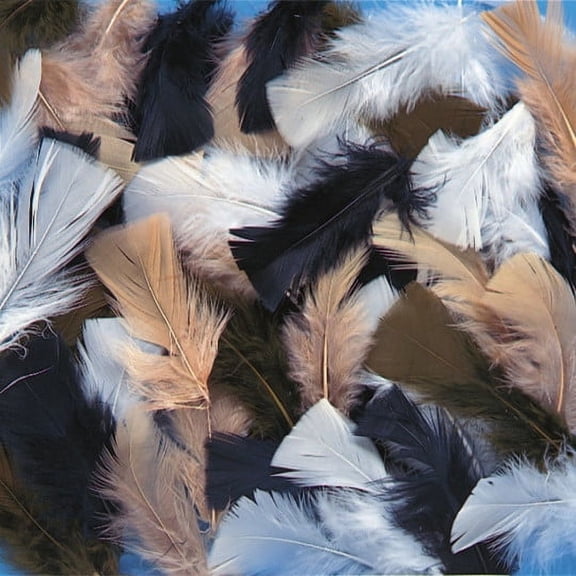 (Price/Bag)S&S Worldwide Natural Feathers, 14g