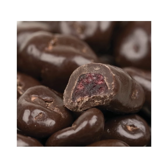 Dark Chocolate Covered Cranberries, Gourmet Fruit Bites, 1 Pound