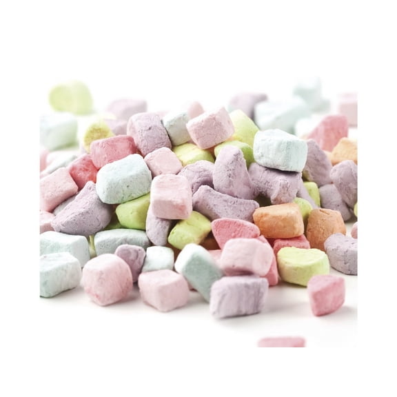 Dehydrated Cereal Marshmallows, 1 Pound Bulk Bag Mini Dehydrated Marshmallows, The Hampton Popcorn & Candy Company