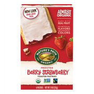 Nature's Path Organic Frosted Berry Strawberry Toaster Pastries, 11 oz (Pack of 12), Non-GMO