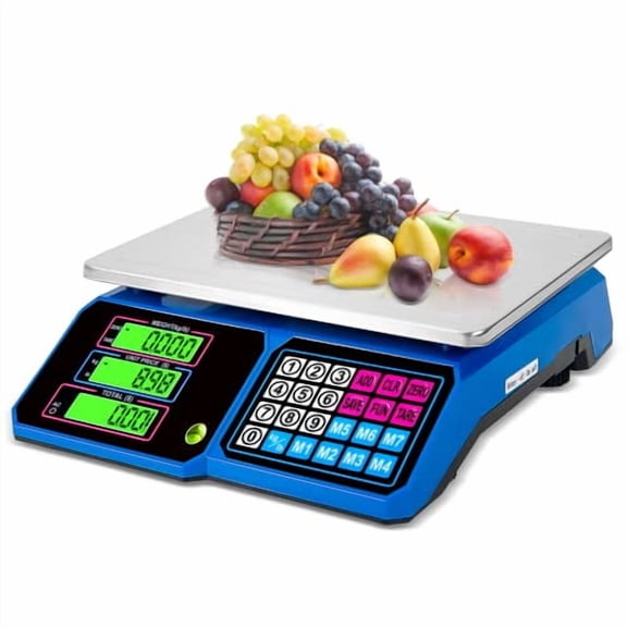 Price Computing ScaleDS100 30kg/66 LB Digital Commercial Food Scale,Electronic Meat Scale for Farmers Markets, Retail Outlets, Supermarkets, Blue