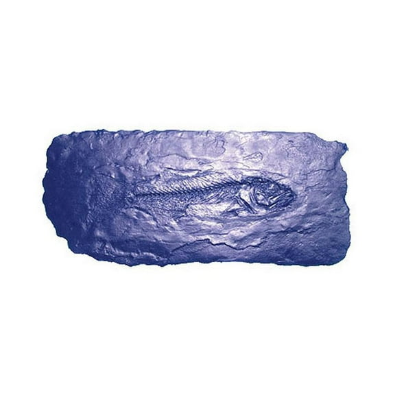 (Price/Each)Bon Tool 32-682 Fossil Stamp - Fish