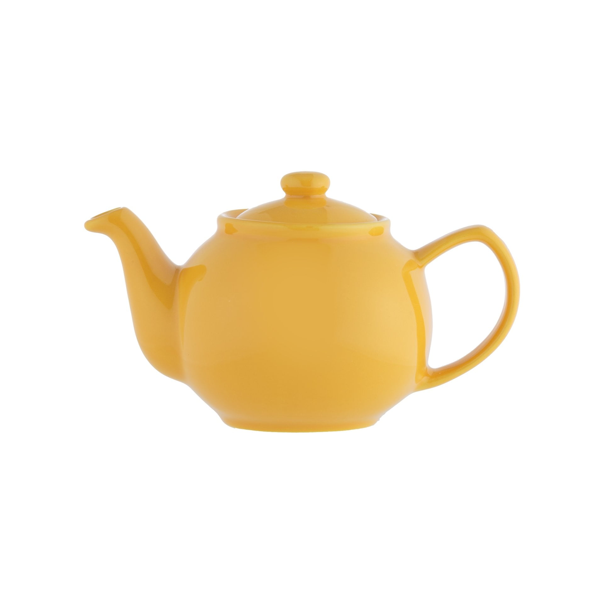 Mustard Yellow Stoneware 2-Cup Teapot with Gloss Finish