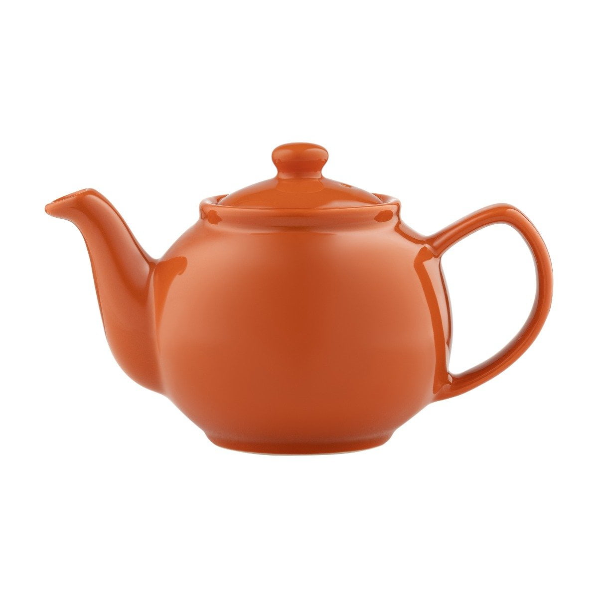 Burnt Orange Stoneware 6-Cup Teapot with Gloss Finish