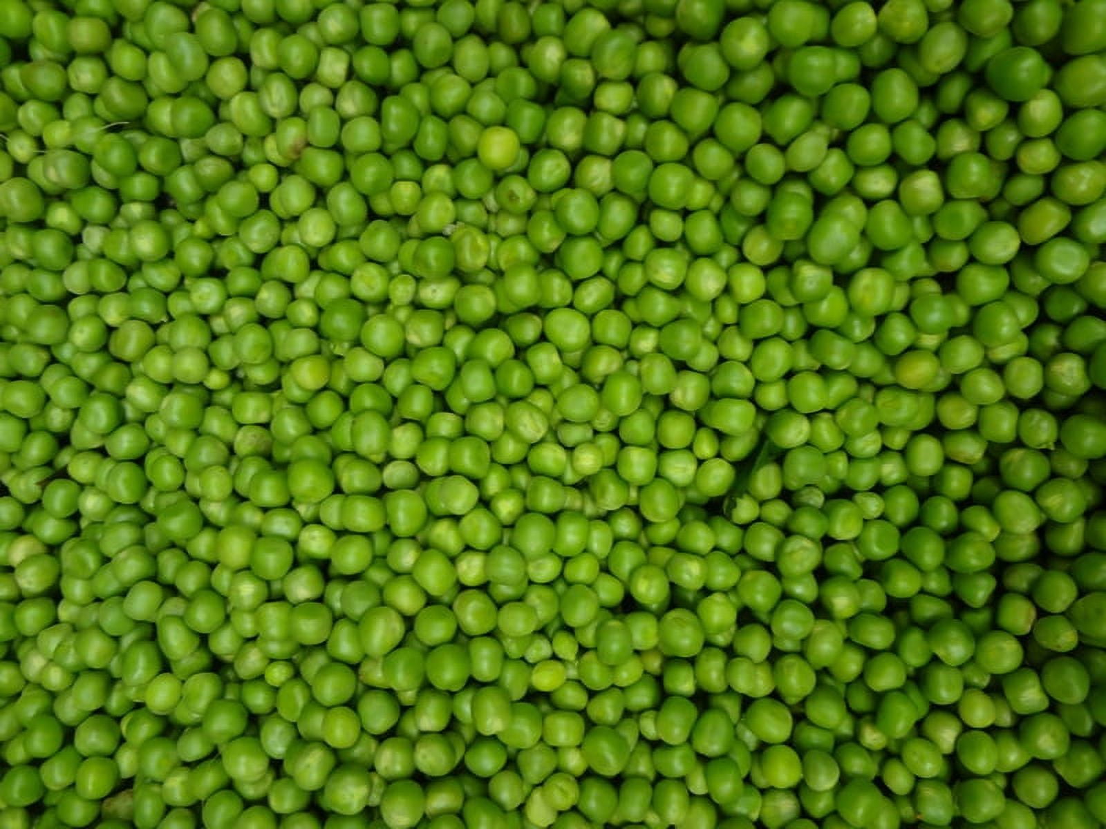 (Price/Pack)Commodity Fancy 4 Sieve Sweet Pea #10 Can - 6 Per Case