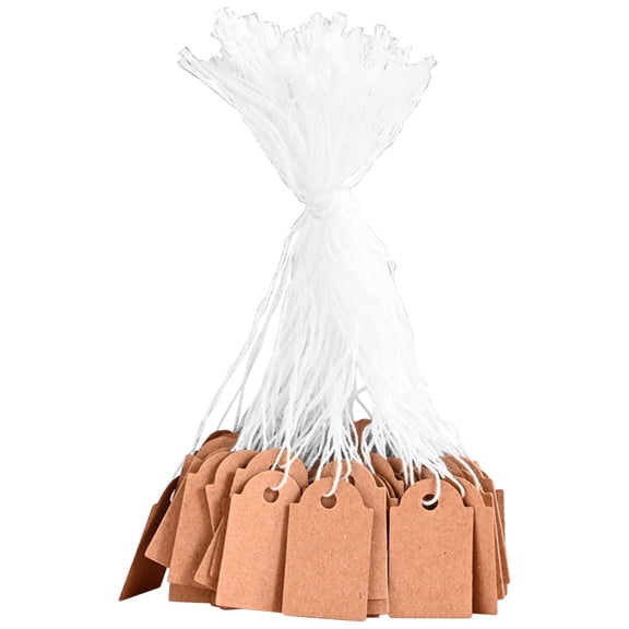 Price Tag with String Attached, Writable Brown Kraft Paper Tags with Strings, Blank Hang Tag Price Display Labels for Retail Clothing Jewelry Blank Merchandise Marking Tags, 100Pcs(Khaki,1.4x0.8")