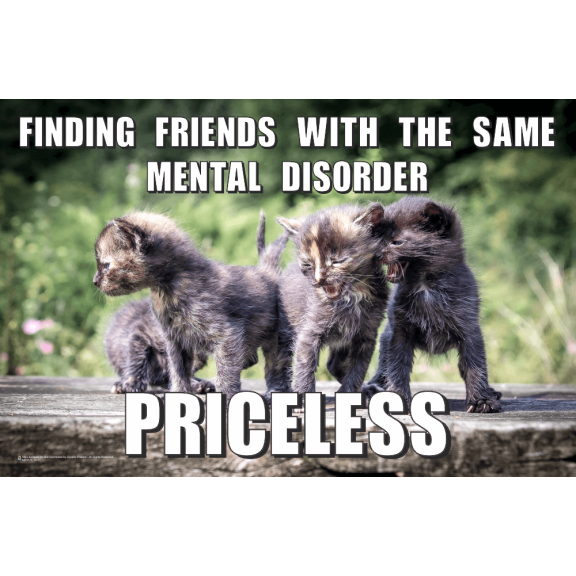 Priceless - Friends With The Same Mental Disorder Mini Poster - 17.5x11.5 Laminated