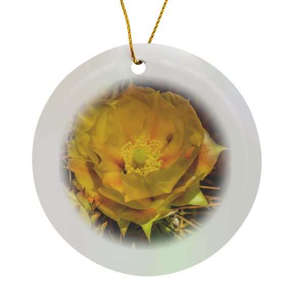 3drose, Prickly Pear Cactus Bloom, Desert Botanical Garden, Phoenix, Arizona., Circle Porcelain Ornament