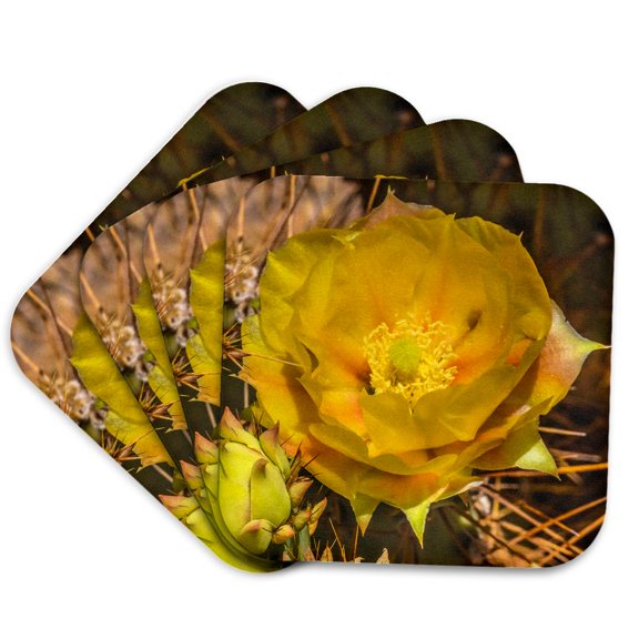 3drose, Prickly Pear Cactus Bloom, Desert Botanical Garden, Phoenix, Arizona., Set of 4 Coasters - Soft