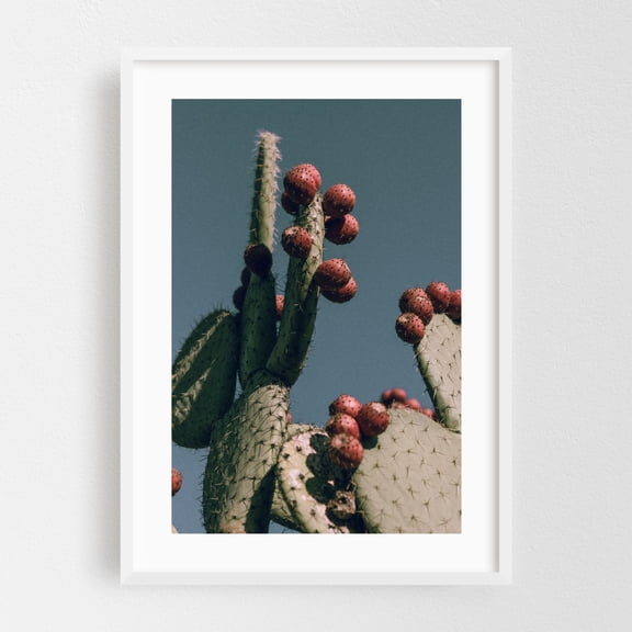 Prickly Pear IV - Visalia California Photography Cactus Desert Nature Botanical Tropical Wildlife Vintage White Framed Wall Art Print 5 x 7 inches