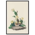 thumbnail image 1 of Prickly Pear Perch Canvas Print Botanical Art by Art Remedy, Black Frame, 10 x 15, 1 of 6
