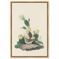 thumbnail image 1 of Prickly Pear Perch Canvas Print Botanical Art by Art Remedy, Gold Frame, 36 x 54, 1 of 6