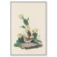 thumbnail image 1 of Prickly Pear Perch Canvas Print Botanical Art by Art Remedy, White Frame, 30 x 45, 1 of 6
