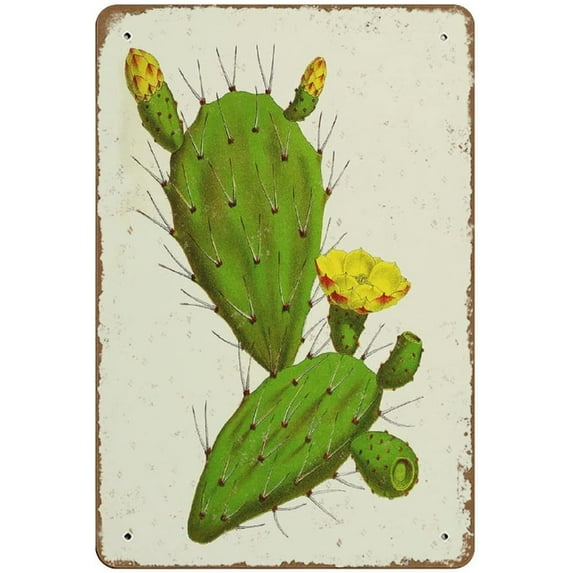 Prickly Pear Print Indian Fig Vintage Floral Wall Decor Cottage Chic Southwestern Decor Cactus Western Decor Mexican Decor Novelty?Retro Vintage Auto License Plate Tin Sign Warning Sign 8"x12"