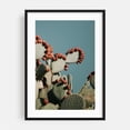 thumbnail image 1 of Prickly Pear V - Visalia California Photography Cactus Desert Nature Botanical Minimalist Summer Scenic Black Framed Wall Art Print 20 x 30 inches, 1 of 8