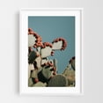 thumbnail image 1 of Prickly Pear V - Visalia California Photography Cactus Desert Nature Botanical Minimalist Summer Scenic White Framed Wall Art Print 24 x 36 inches, 1 of 3