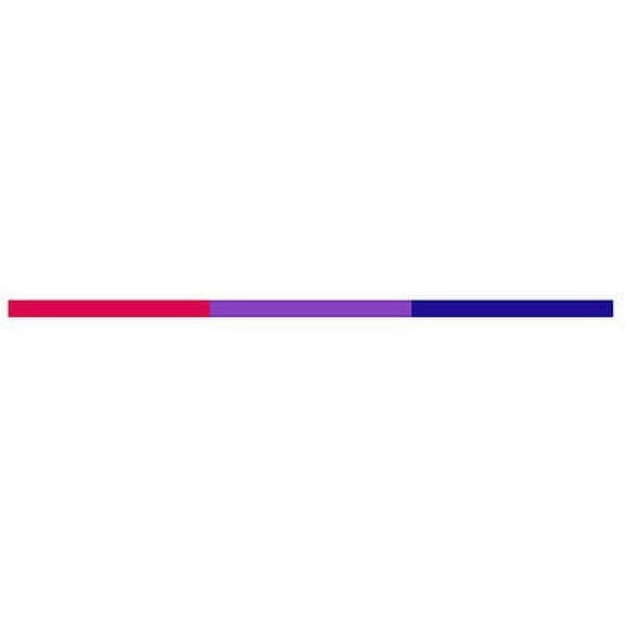 Pride Shack - Bi Pride Bisexual Flag - 0.5x28" Car Banner Strip Bumper Sticker