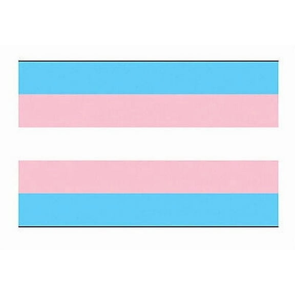 Pride Shack - LGBT Transgender Pride Flag Bumper Sticker Decal - Square Shaped