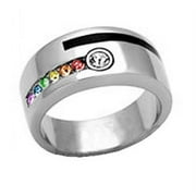 Pride Shack - Steel Stripe Rainbow Ring- Mens Gay Pride / GLBT Wedding Ring Band
