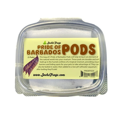 Pride of Barbados Pods (Includes 5 Pods)