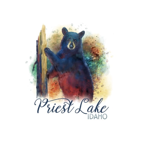 Priest Lake, Idaho, Black Bear, Watercolor (16x24 Giclee Gallery Art Print, Vivid Textured Wall Decor)