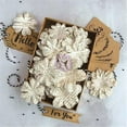 thumbnail image 1 of Prima Marketing Boxed Flowers-Documented Beauty W/Tags 1.5"-2.25" 48pk, Pk 2, 1 of 2