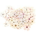 thumbnail image 1 of Prima Marketing Lavender Frost Paper Flowers 60/Pkg-Provincial Lavender, 1 of 1