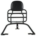 thumbnail image 1 of "Prima Rear Rack (Backrest, Black); Vespa Primavera, Sprint", 1 of 1