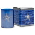 thumbnail image 1 of Primal Elements  Starfish 9.5 oz. Icon Candle in Blue Glass, 1 of 1