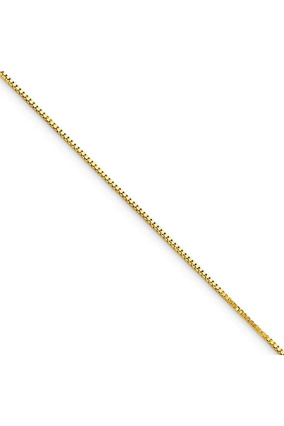 10 Karat Yellow Gold .5mm Box Chain