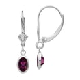 thumbnail image 1 of Primal Gold 14 Karat White Gold 6x4 Oval Bezel June Rhodolite Leverback Earrings, 1 of 4