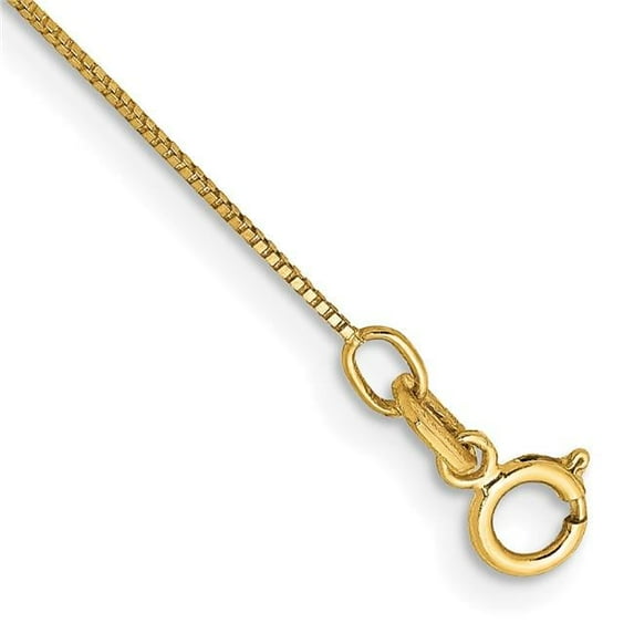 Primal Gold 14 Karat Yellow Gold 0.5mm Box with Spring Ring Clasp Chain Anklet