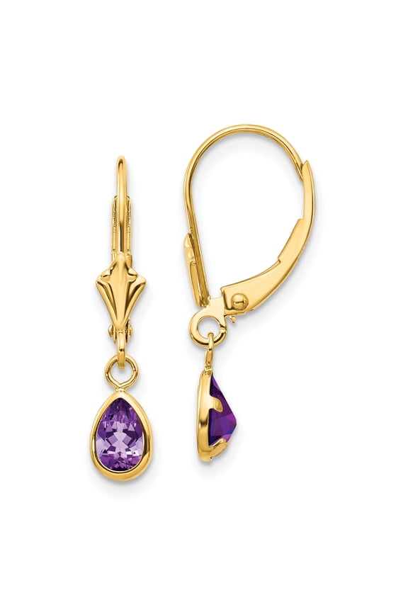 14 Karat Yellow Gold 6x4mm Amethyst February Earrings