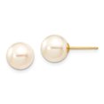 thumbnail image 1 of Primal Gold 14 Karat Yellow Gold 8-9mm Round White Saltwater Akoya Cultured Pearl Stud Earrings, 1 of 3