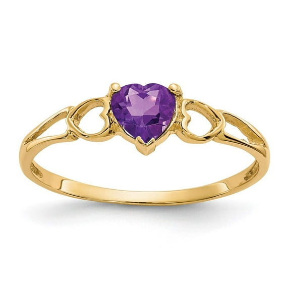 Primal Gold 14 Karat Yellow Gold Amethyst Birthstone Ring
