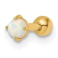 thumbnail image 1 of Primal Gold 14 Karat Yellow Gold Lab Created Opal Labret Stud, 1 of 4