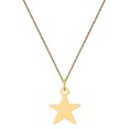 thumbnail image 1 of Primal Gold 14 Karat Yellow Gold Star Disc Charm with 18-inch Cable Rope Chain, 1 of 5