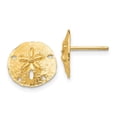 thumbnail image 1 of Primal Gold 14K Yellow Gold Sand Dollar Post Earrings, 1 of 4