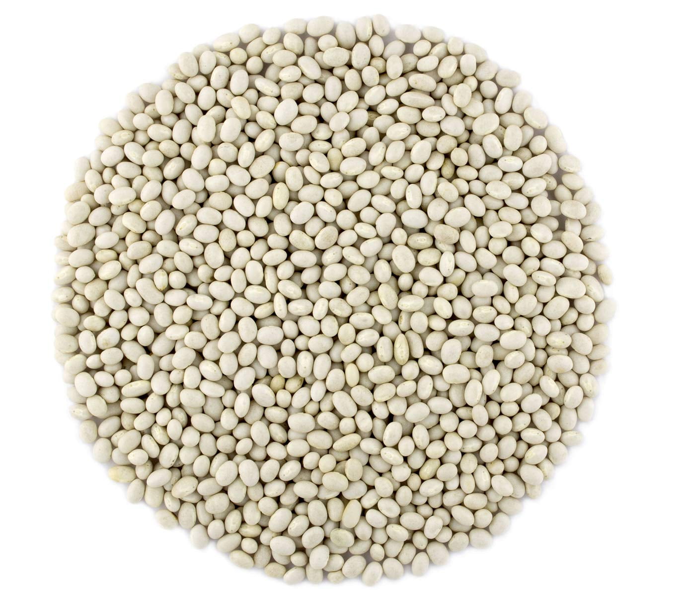 Primal Harvest Organic Navy Beans Raw non GMO Vegan Bulk - 25LB