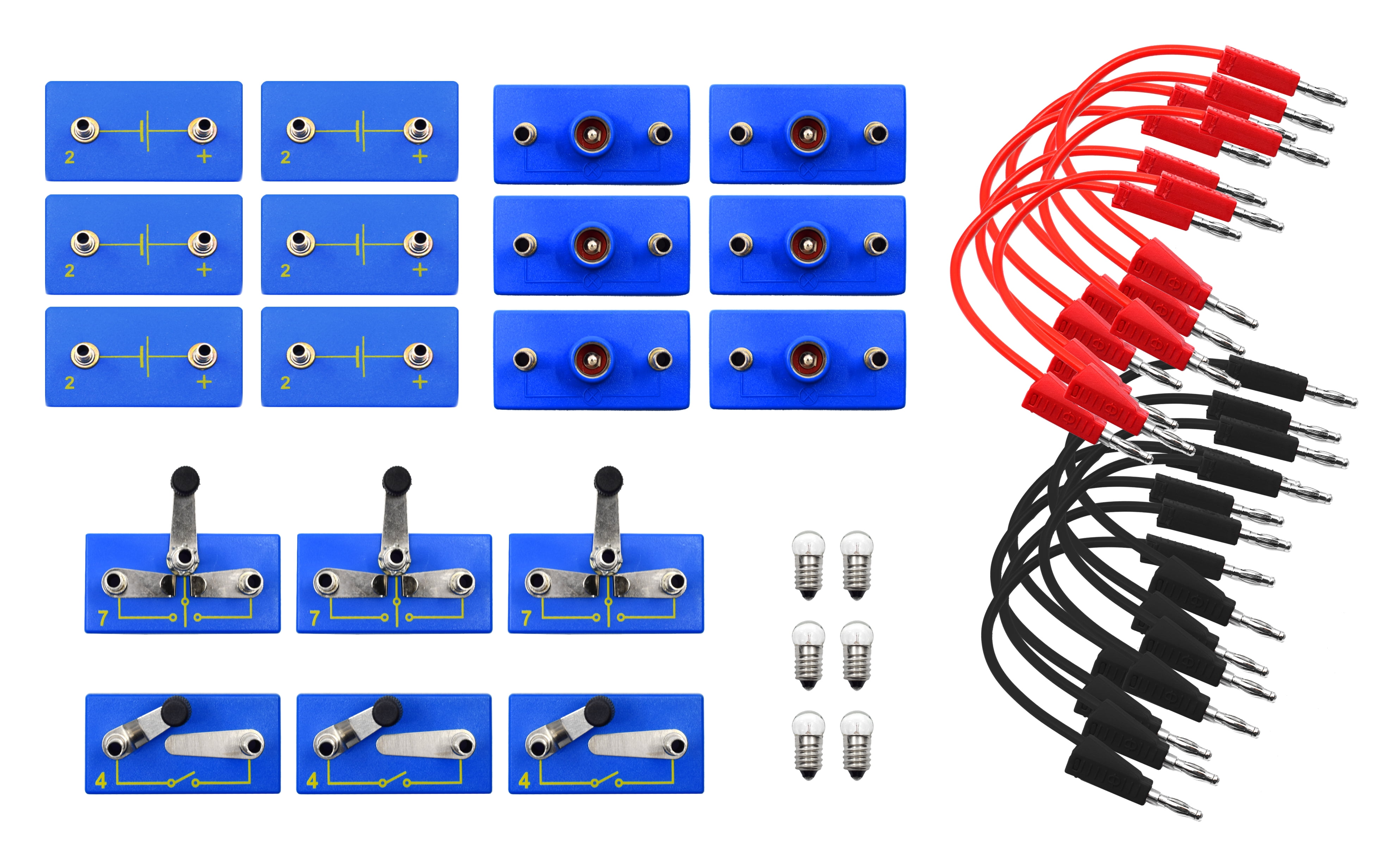Primary Basic Electricity Kit - Includes Connecting Leads, Bulb & Cell Holders, Press & Two-Way Switches & Activity Guide - Materials for 6 Students - Eisco Labs